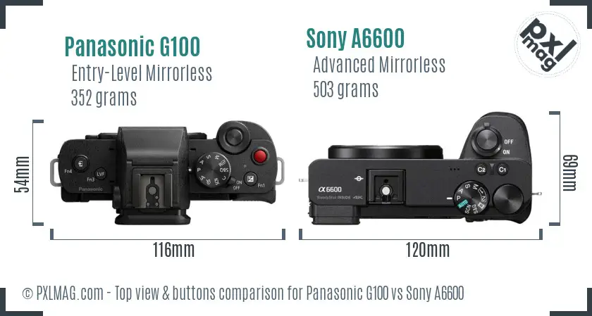 Panasonic G100 vs Sony A6600 top view buttons comparison