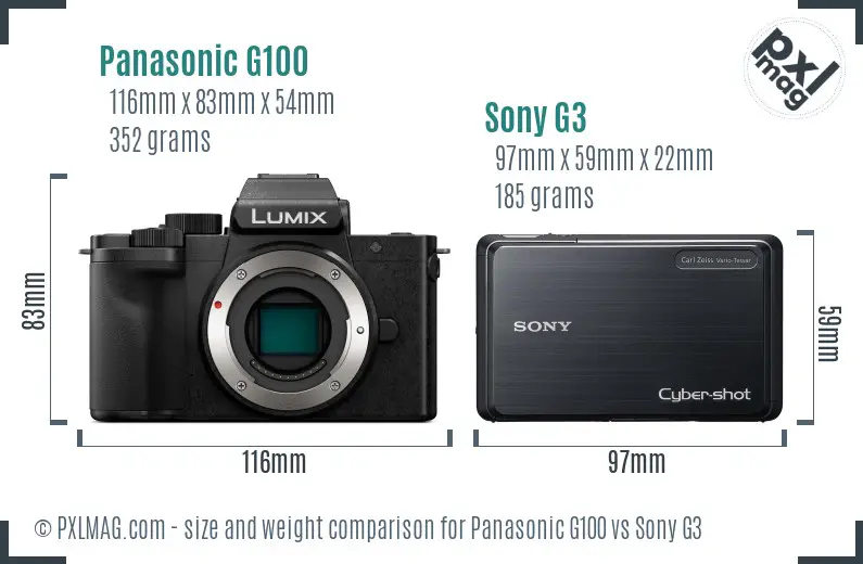 Panasonic G100 vs Sony G3 size comparison
