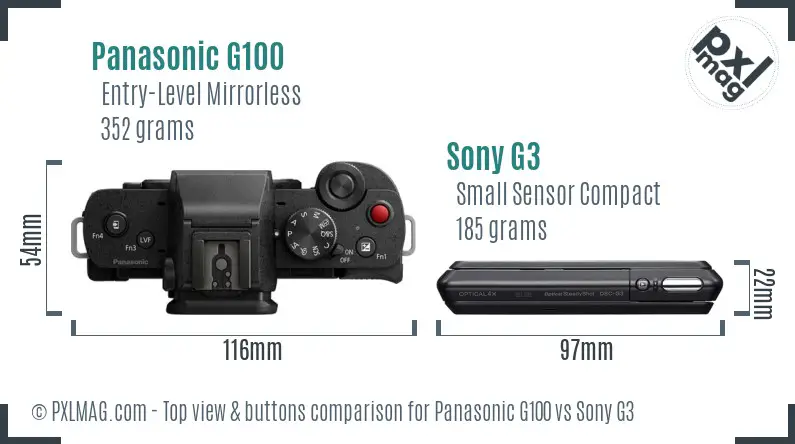 Panasonic G100 vs Sony G3 top view buttons comparison