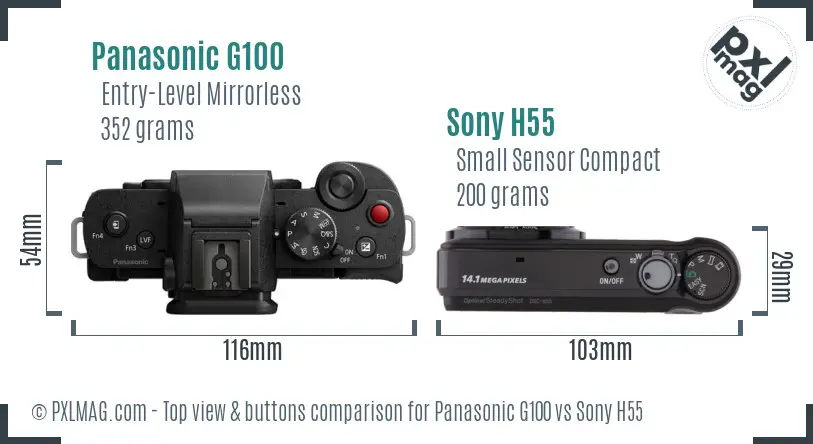 Panasonic G100 vs Sony H55 top view buttons comparison