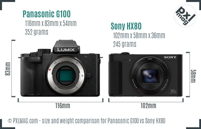 Panasonic G100 vs Sony HX80 size comparison