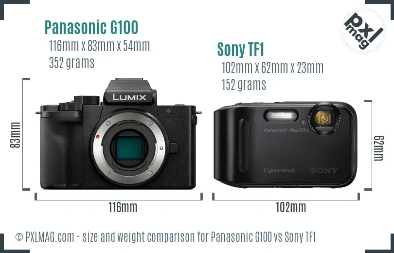 Panasonic G100 vs Sony TF1 size comparison