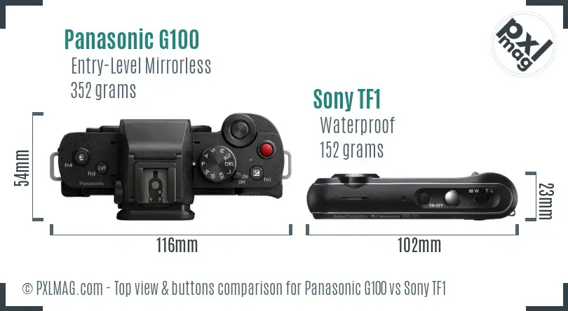 Panasonic G100 vs Sony TF1 top view buttons comparison