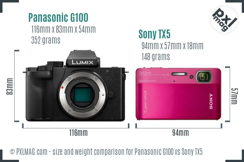 Panasonic G100 vs Sony TX5 size comparison