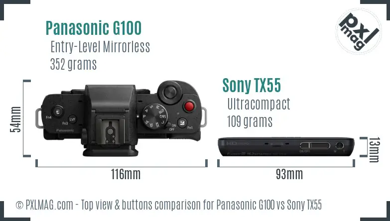 Panasonic G100 vs Sony TX55 top view buttons comparison