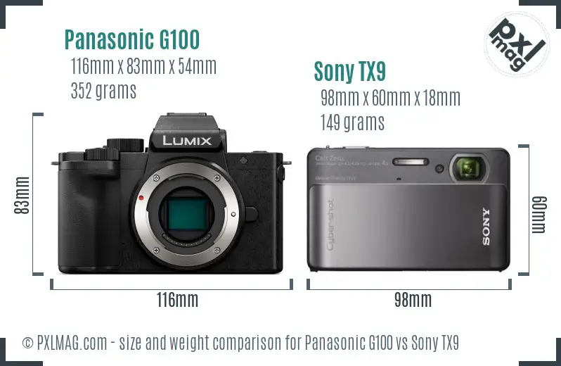 Panasonic G100 vs Sony TX9 size comparison
