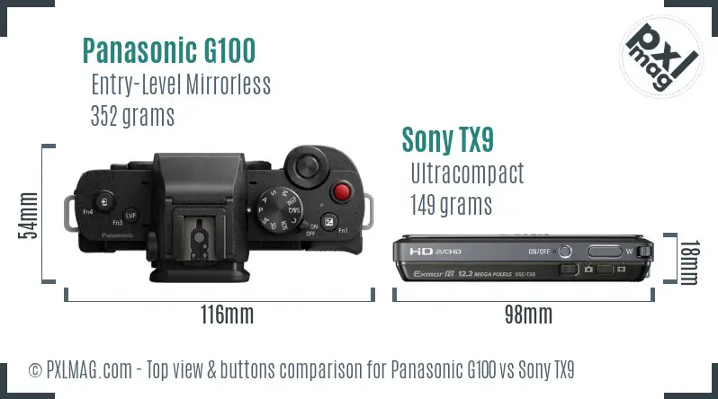 Panasonic G100 vs Sony TX9 top view buttons comparison
