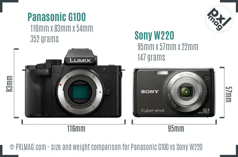 Panasonic G100 vs Sony W220 size comparison