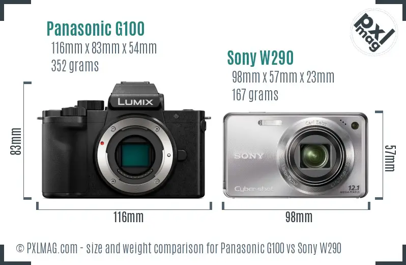 Panasonic G100 vs Sony W290 size comparison