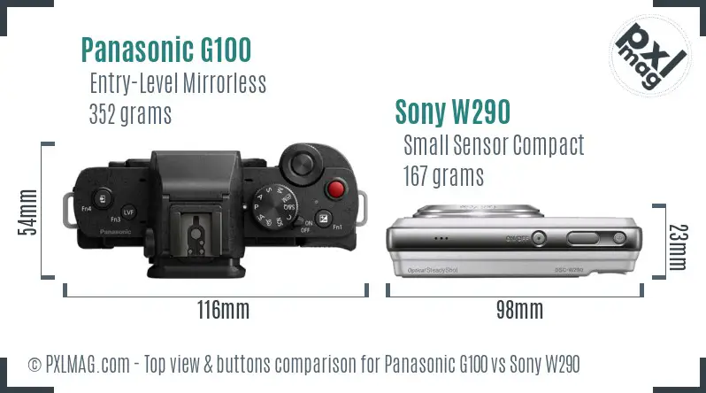 Panasonic G100 vs Sony W290 top view buttons comparison