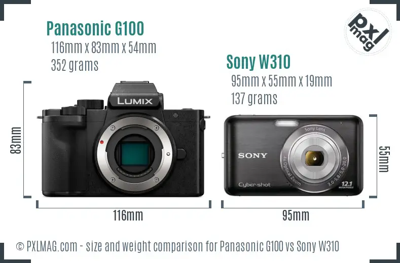 Panasonic G100 vs Sony W310 size comparison