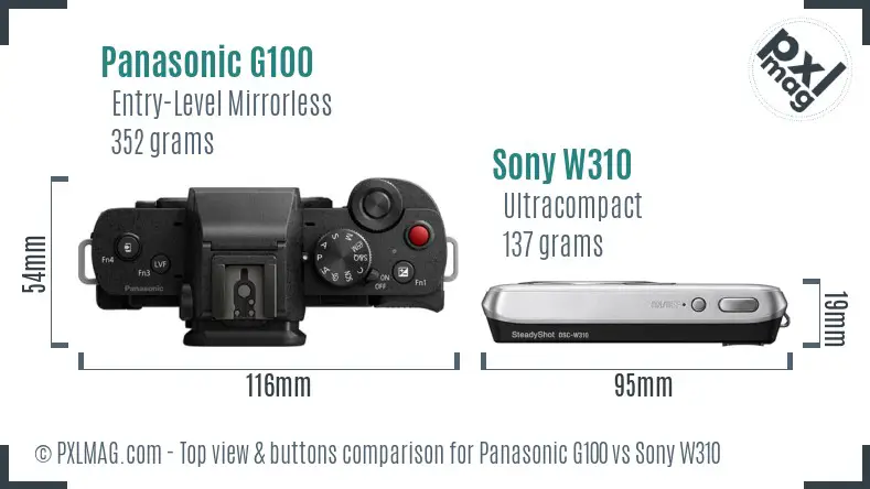 Panasonic G100 vs Sony W310 top view buttons comparison