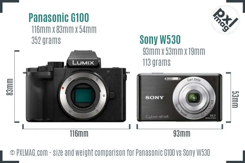 Panasonic G100 vs Sony W530 size comparison