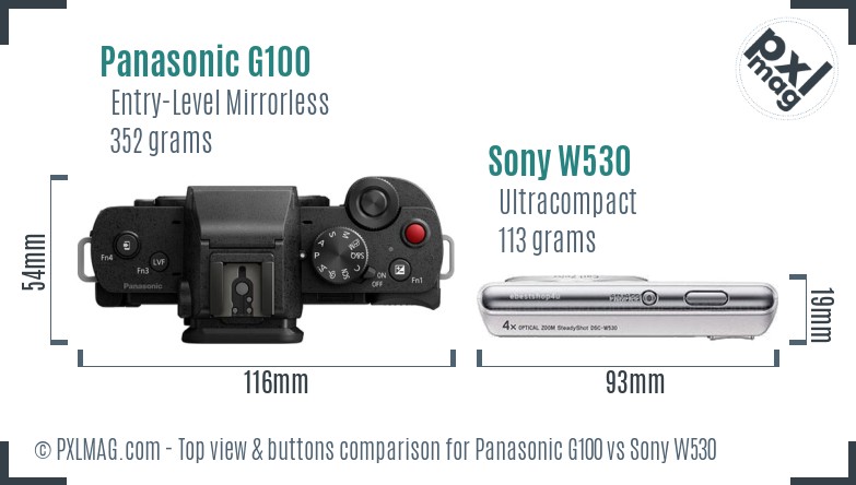 Panasonic G100 vs Sony W530 top view buttons comparison