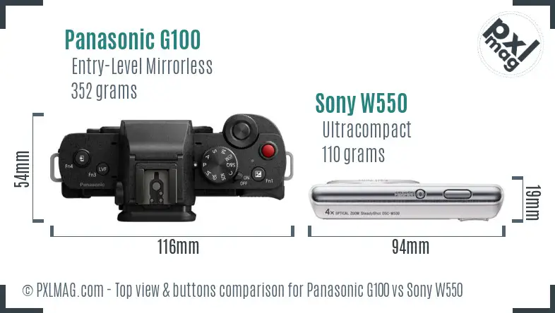 Panasonic G100 vs Sony W550 top view buttons comparison