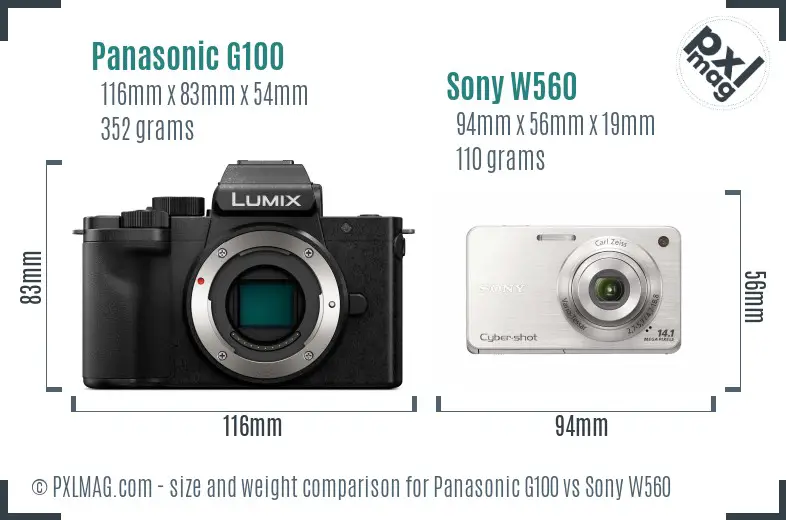 Panasonic G100 vs Sony W560 size comparison