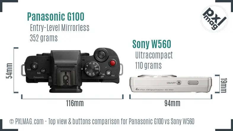 Panasonic G100 vs Sony W560 top view buttons comparison