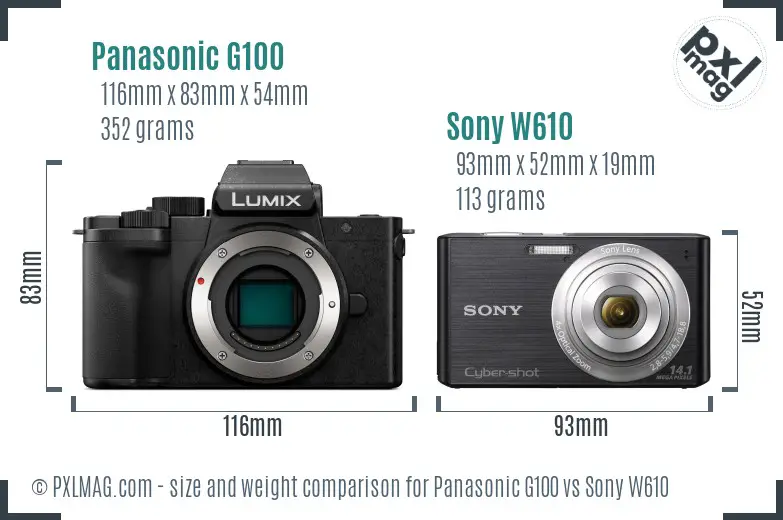 Panasonic G100 vs Sony W610 size comparison