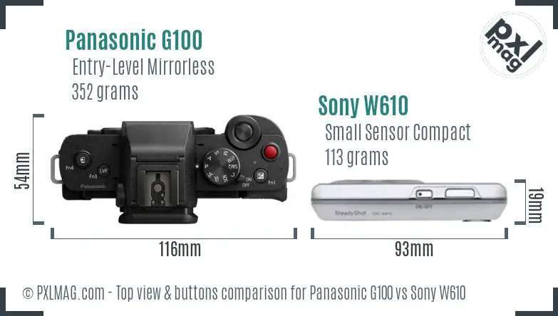 Panasonic G100 vs Sony W610 top view buttons comparison