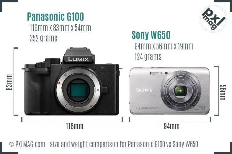 Panasonic G100 vs Sony W650 size comparison