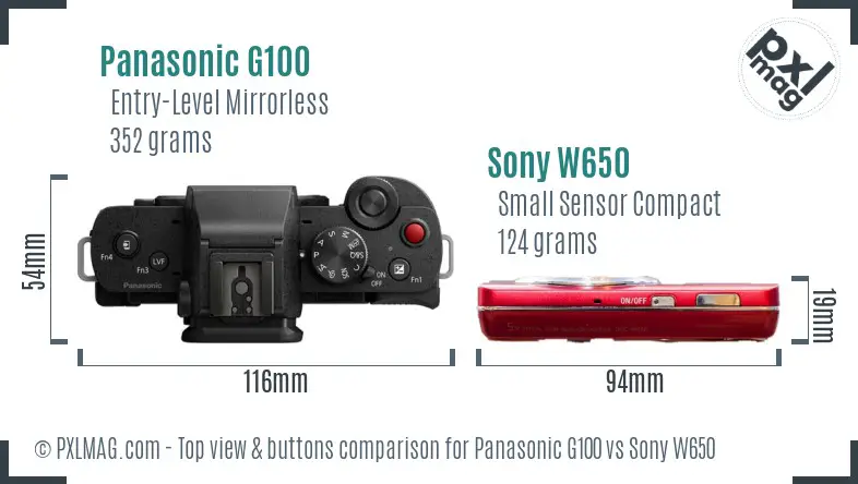 Panasonic G100 vs Sony W650 top view buttons comparison