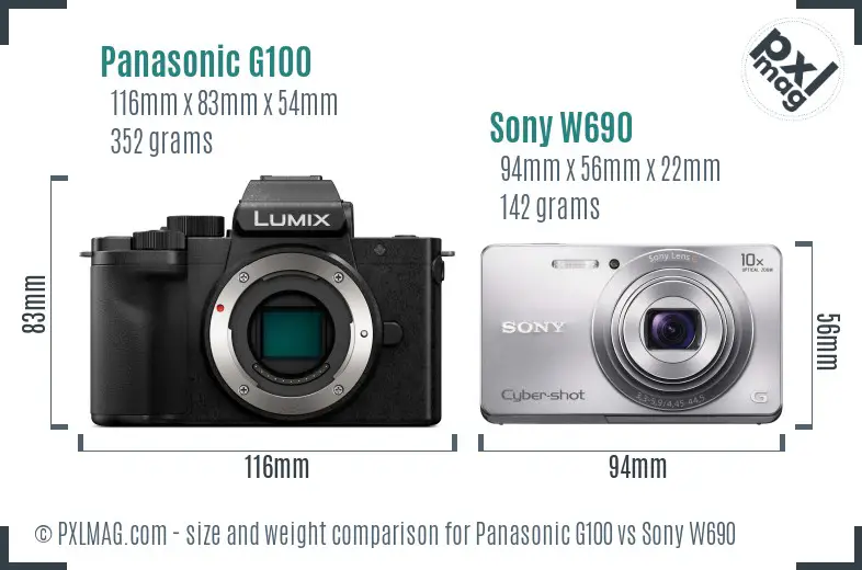 Panasonic G100 vs Sony W690 size comparison