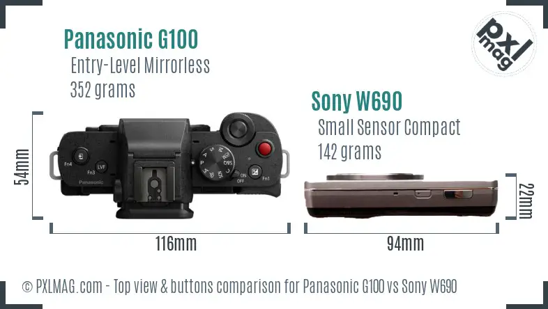 Panasonic G100 vs Sony W690 top view buttons comparison