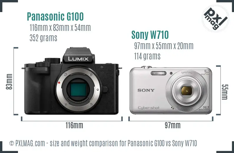 Panasonic G100 vs Sony W710 size comparison