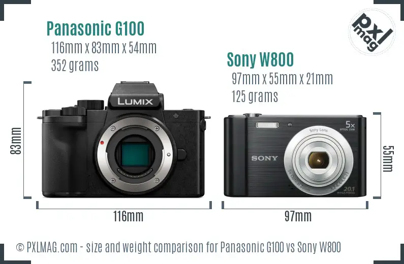 Panasonic G100 vs Sony W800 size comparison