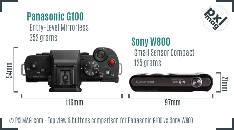 Panasonic G100 vs Sony W800 top view buttons comparison