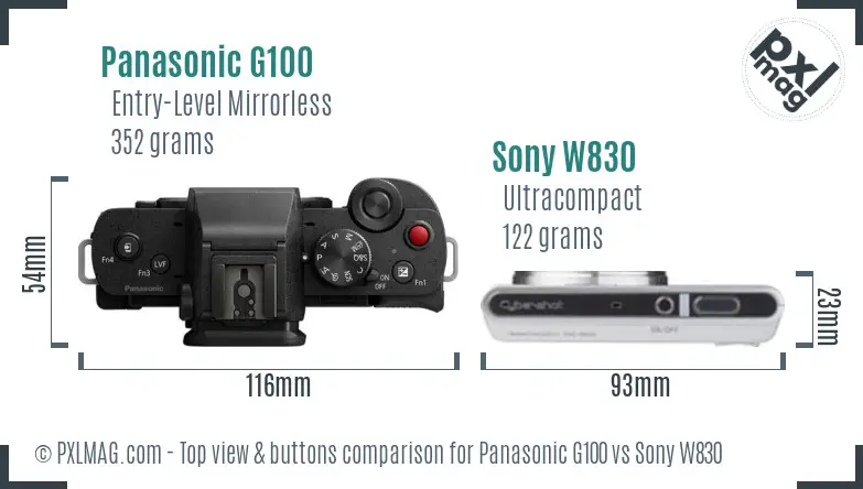 Panasonic G100 vs Sony W830 top view buttons comparison