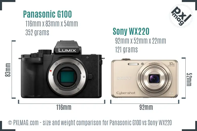 Panasonic G100 vs Sony WX220 size comparison