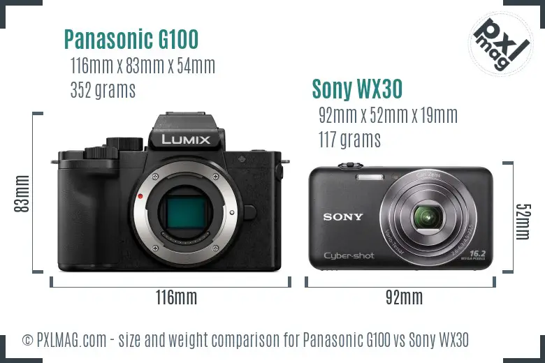 Panasonic G100 vs Sony WX30 size comparison
