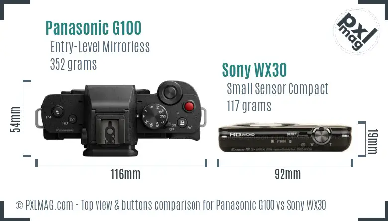 Panasonic G100 vs Sony WX30 top view buttons comparison