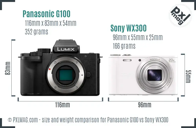 Panasonic G100 vs Sony WX300 size comparison