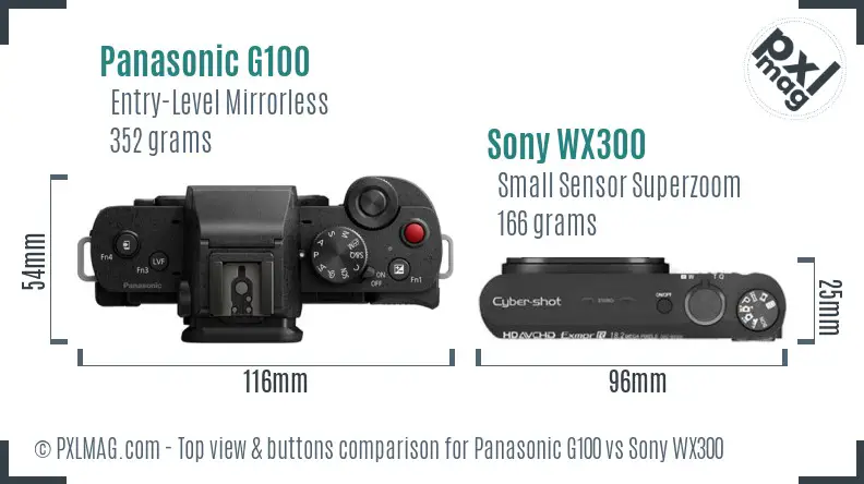 Panasonic G100 vs Sony WX300 top view buttons comparison