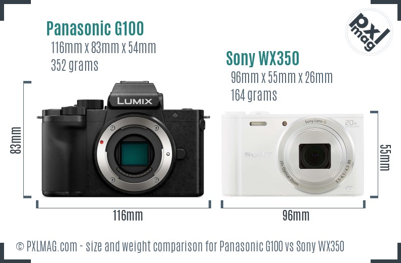 Panasonic G100 vs Sony WX350 size comparison