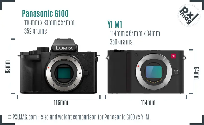 Panasonic G100 vs YI M1 size comparison