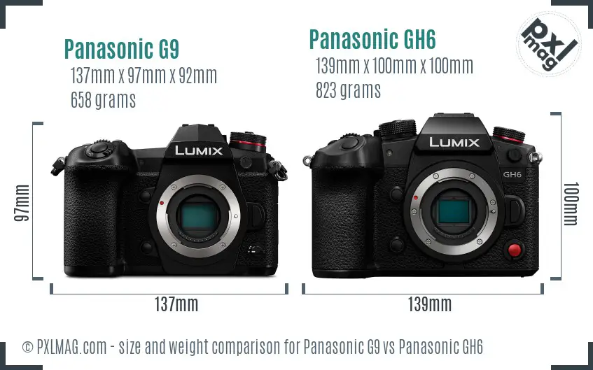Panasonic G9 vs Panasonic GH6 size comparison
