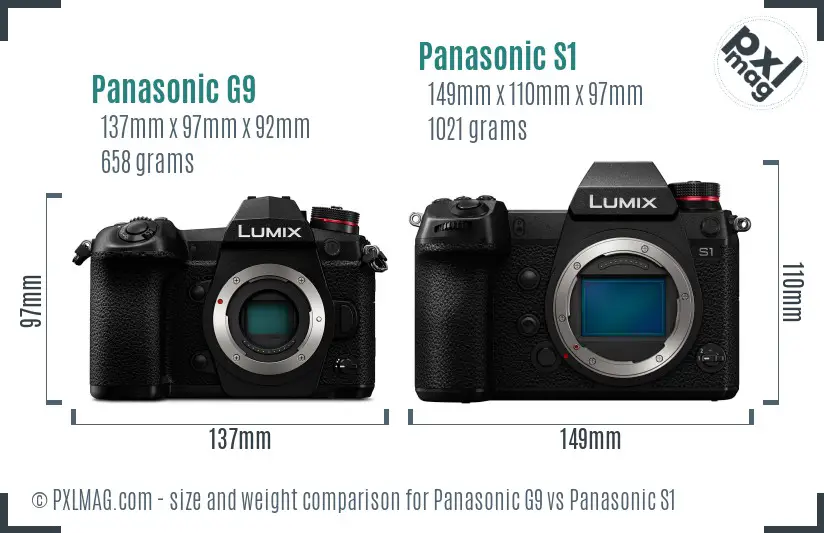 Panasonic G9 vs Panasonic S1 size comparison