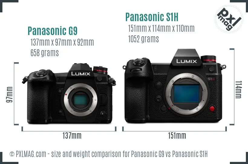 Panasonic G9 vs Panasonic S1H size comparison