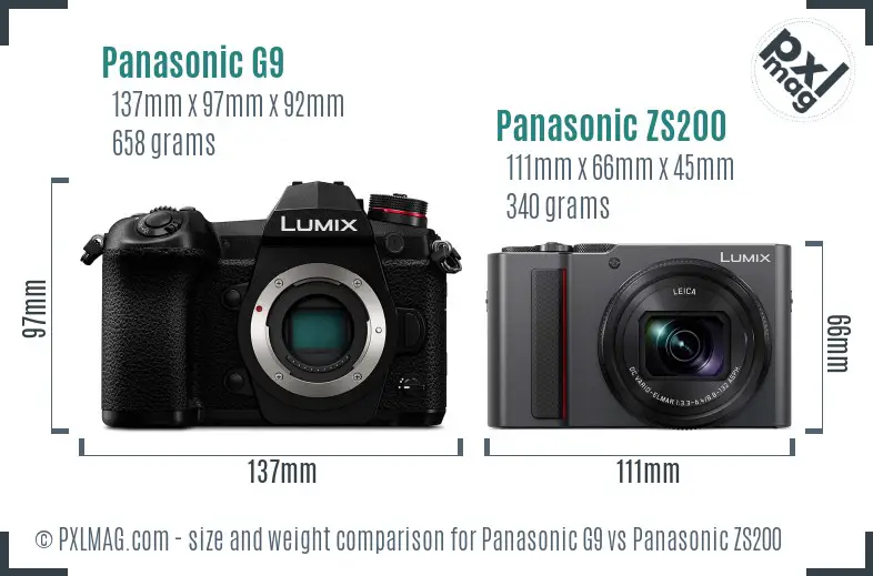Panasonic G9 vs Panasonic ZS200 size comparison
