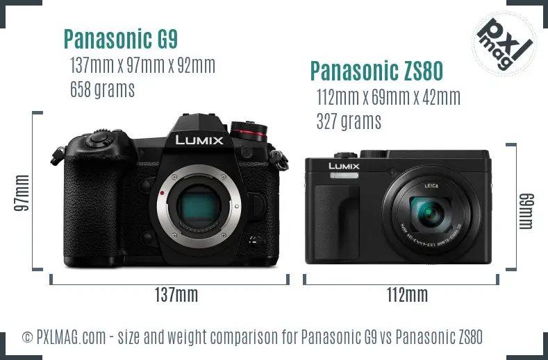 Panasonic G9 vs Panasonic ZS80 size comparison