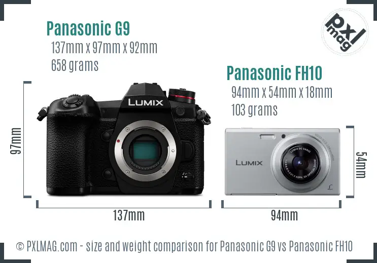 Panasonic G9 vs Panasonic FH10 size comparison