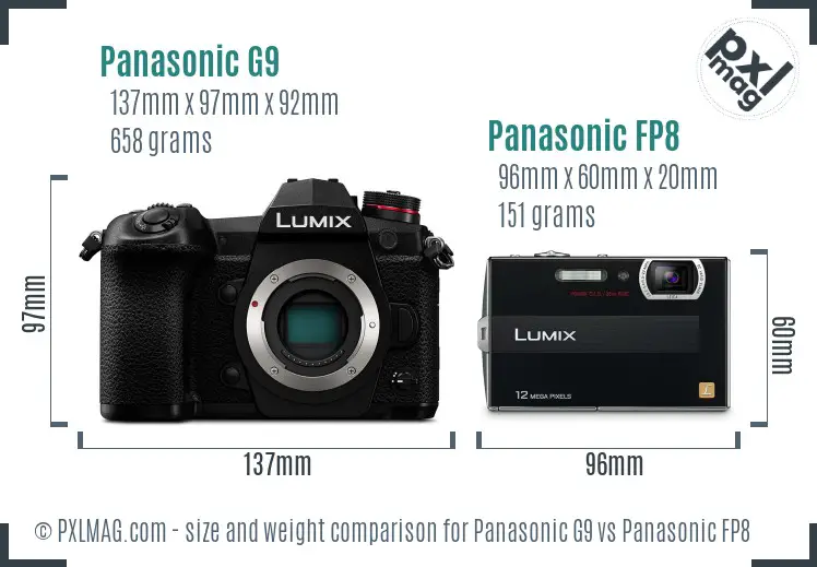 Panasonic G9 vs Panasonic FP8 size comparison