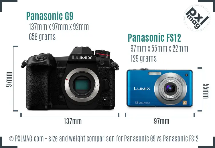 Panasonic G9 vs Panasonic FS12 size comparison