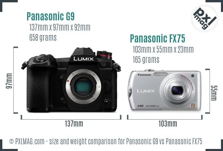 Panasonic G9 vs Panasonic FX75 size comparison