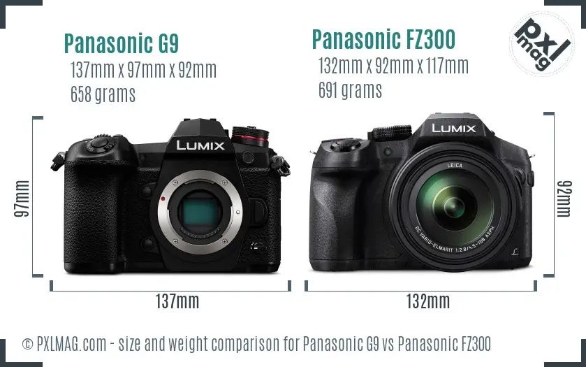 Panasonic G9 vs Panasonic FZ300 size comparison