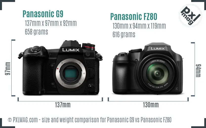 Panasonic G9 vs Panasonic FZ80 size comparison