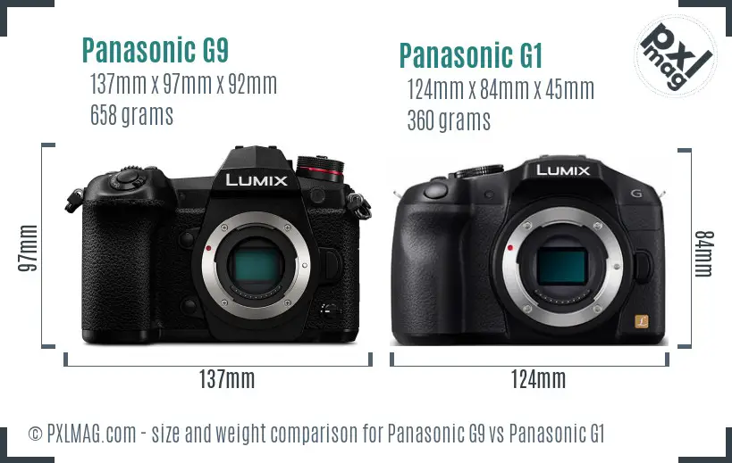 Panasonic G9 vs Panasonic G1 size comparison
